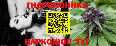 тгк Будённовск