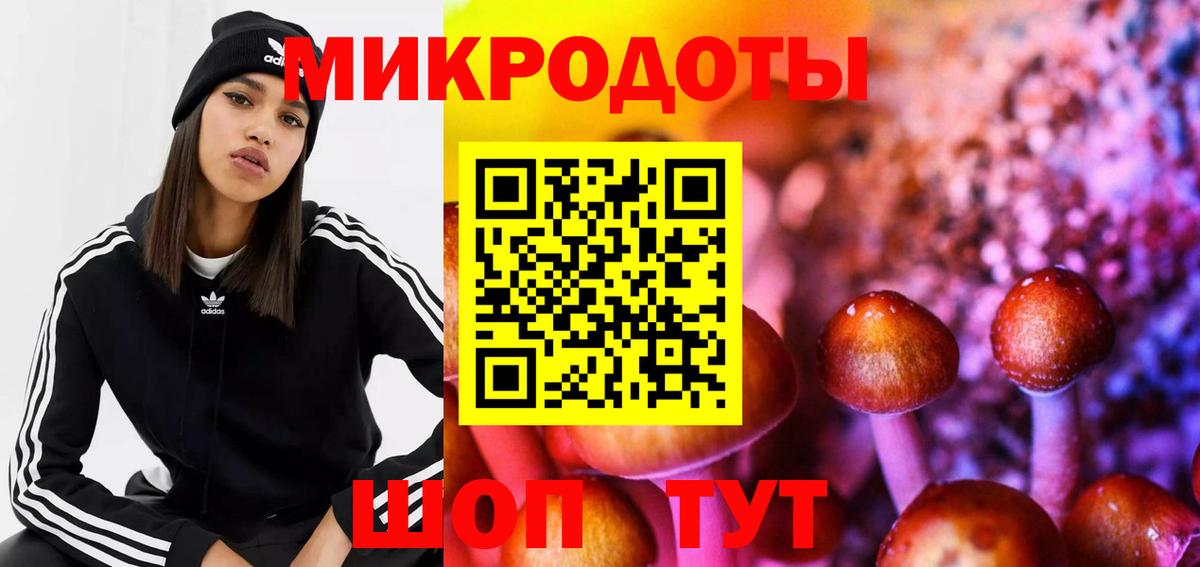 Псилоцибиновые грибы GOLDEN TEACHER  Вход с VPN  Муравленко  Галлюциногенные грибы Psilocybe 